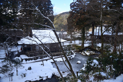 250210a大原三千院42