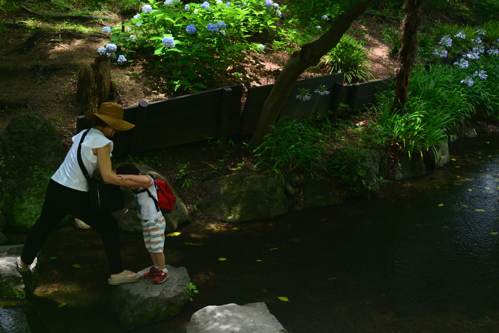 240622長居植物園07