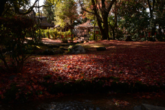 231213a上賀茂神社22