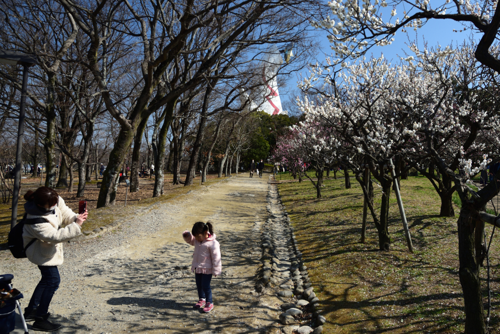 210220万博公園39