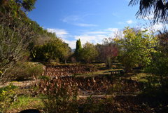 211129a法華寺03