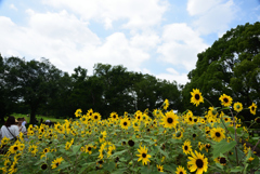 200802万博公園44