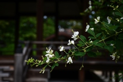 170915c梨木神社18