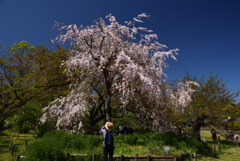 190420d京都植物園11