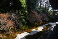 250121b建仁寺西来院19