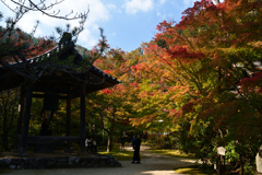 231102c西明寺45
