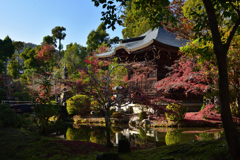 201127d清凉寺26