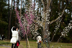 190222a京都植物園50