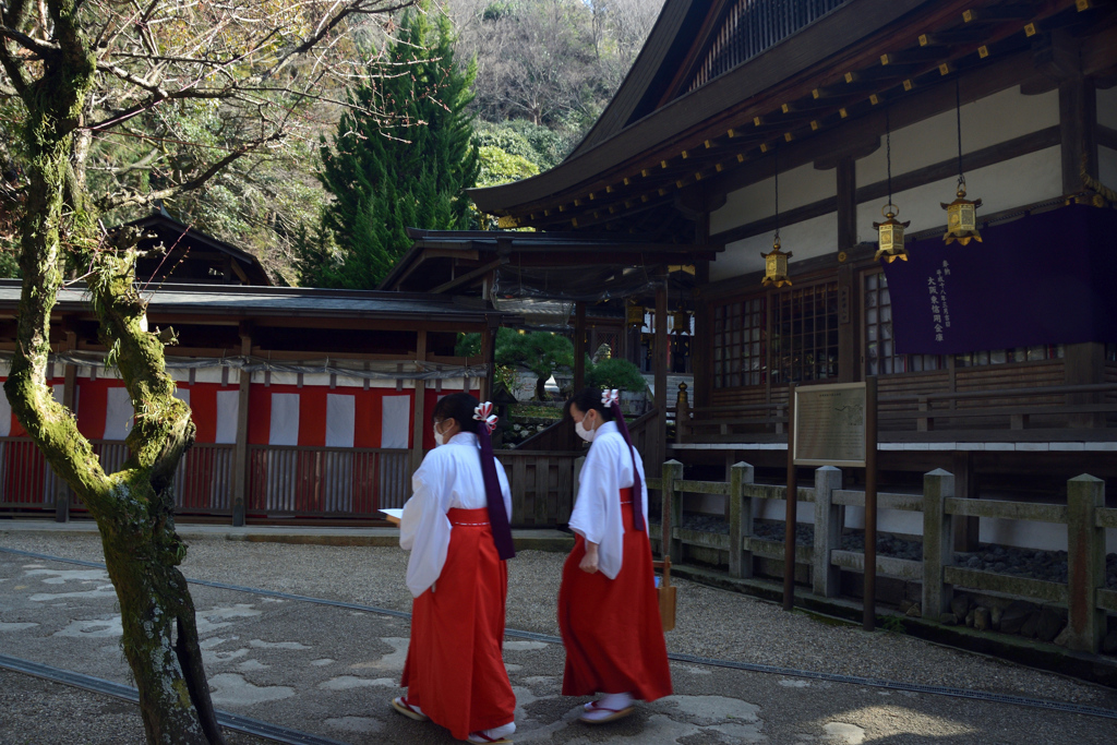 180208枚岡神社31+