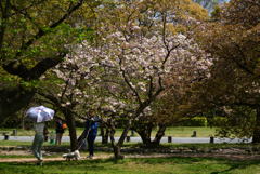 220412a京都御苑31