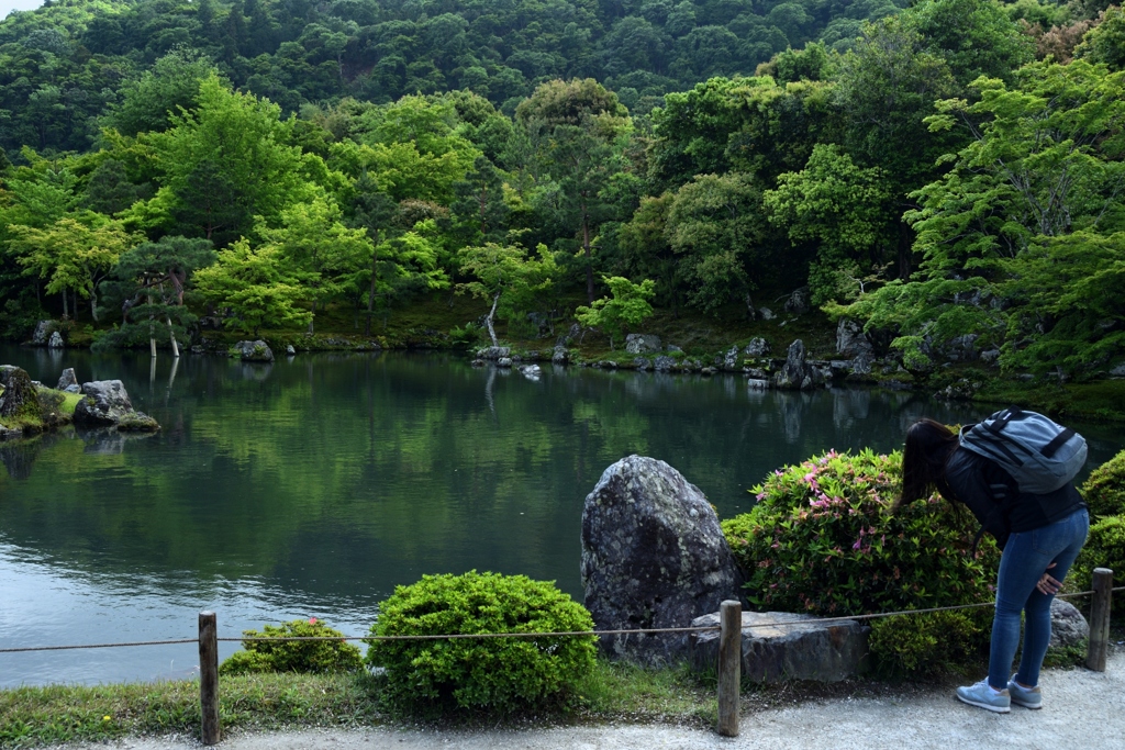 180509b天龍寺22+