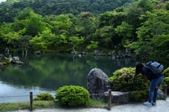 180509b天龍寺22+
