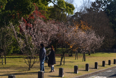 221209京都御苑06