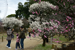 230226万博公園35