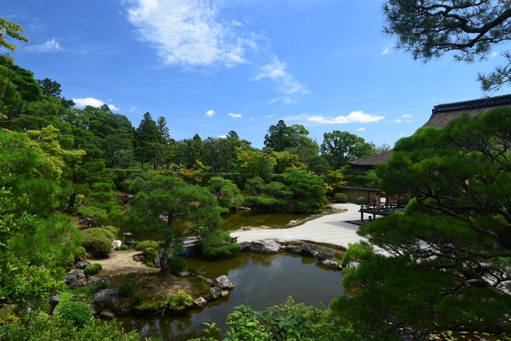 180817b仁和寺27