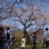 200321京都植物園10