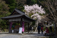 220402e哲学の道24