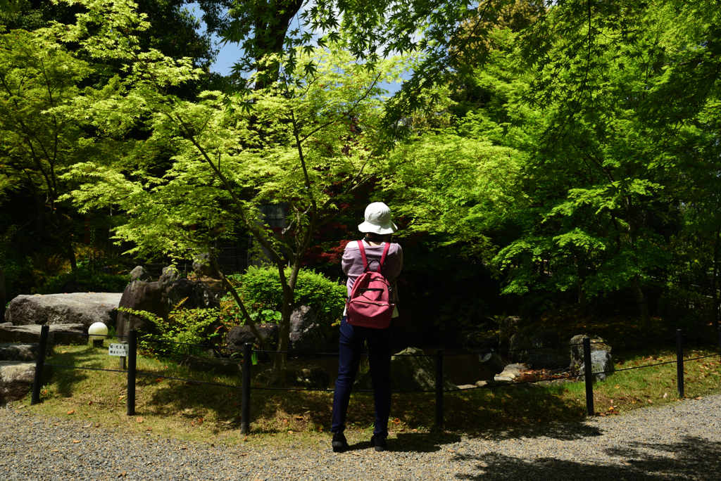 190502b長岡天満宮32