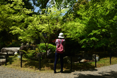 190502b長岡天満宮32