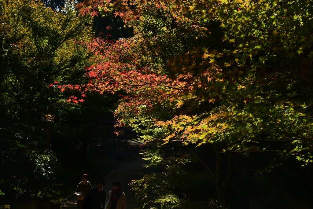 181118c東福寺即宗院52