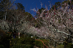 230315石山寺15