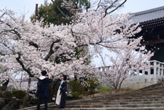 220402c金戒光明寺12