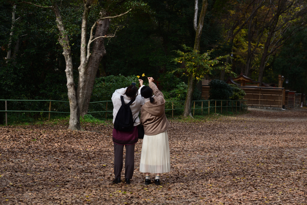 201201下鴨神社07