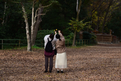 201201下鴨神社07