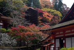 181114b談山神社10