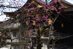 210211b北野天満宮19