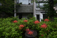 210916b木屋町通46四条下る