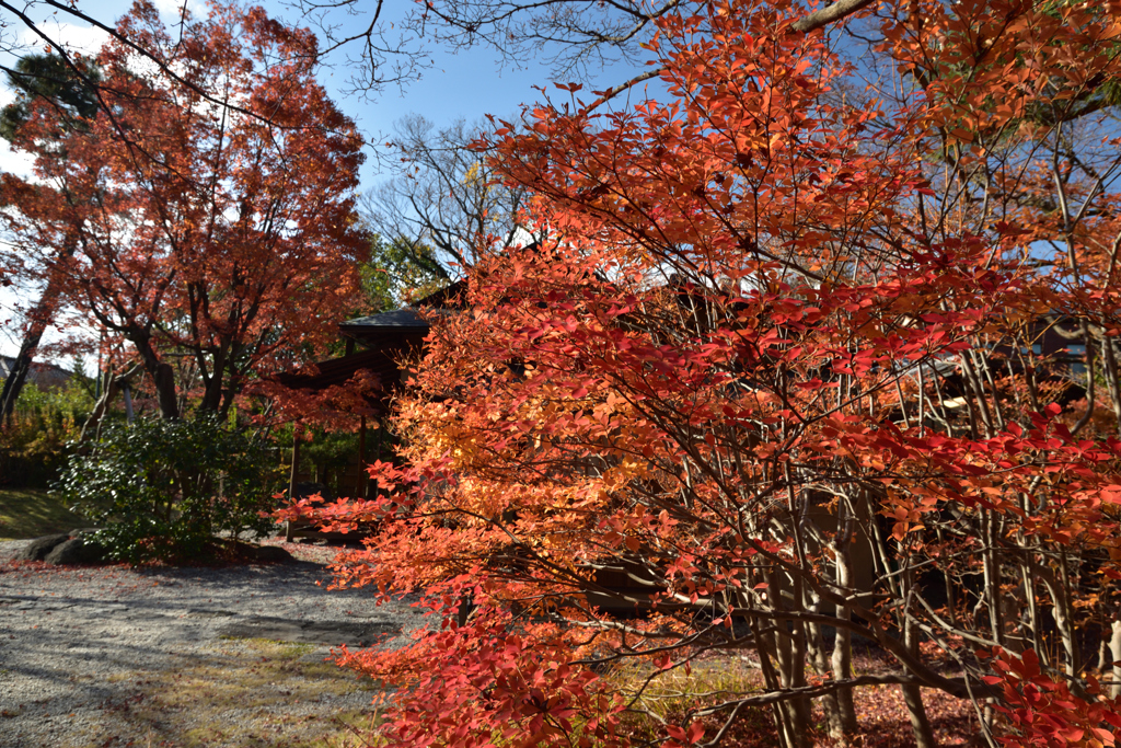 191215a京都博物館14
