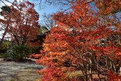191215a京都博物館14