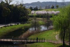 210331a山田池公園19