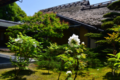 230502慈光院41