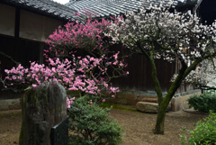 200213a道明寺天満宮14 200213a道明寺天満宮14