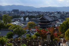 201103c金戒光明寺39