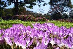 181009馬見丘陵28+