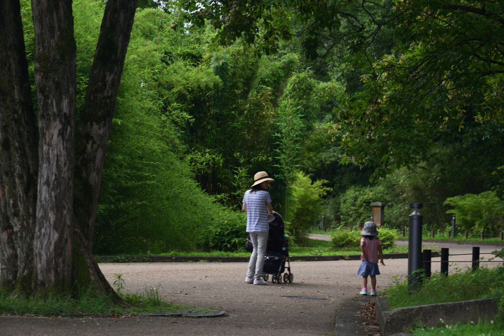 190731京都植物園02
