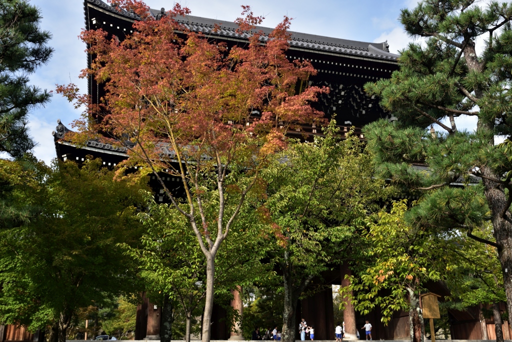 181002f金戒光明寺79