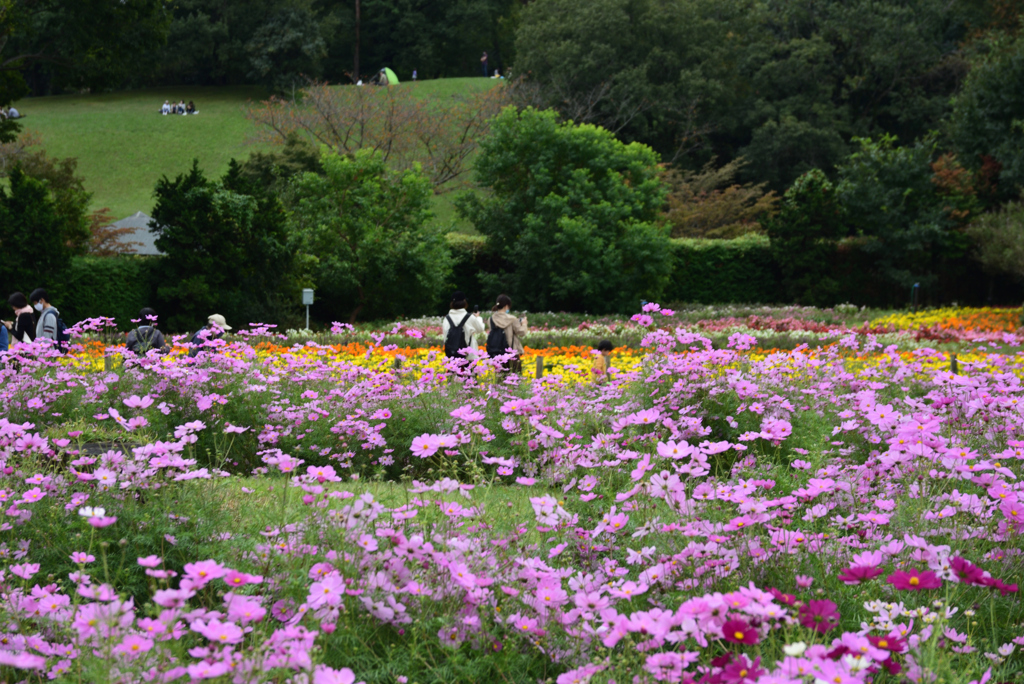 201018馬見丘陵公園40