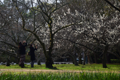 200223c京都御苑04