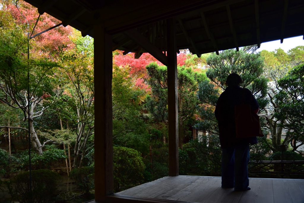 181125d龍安寺59