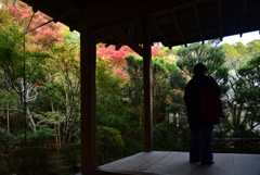 181125d龍安寺59