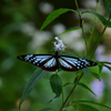 211002京都植物園59