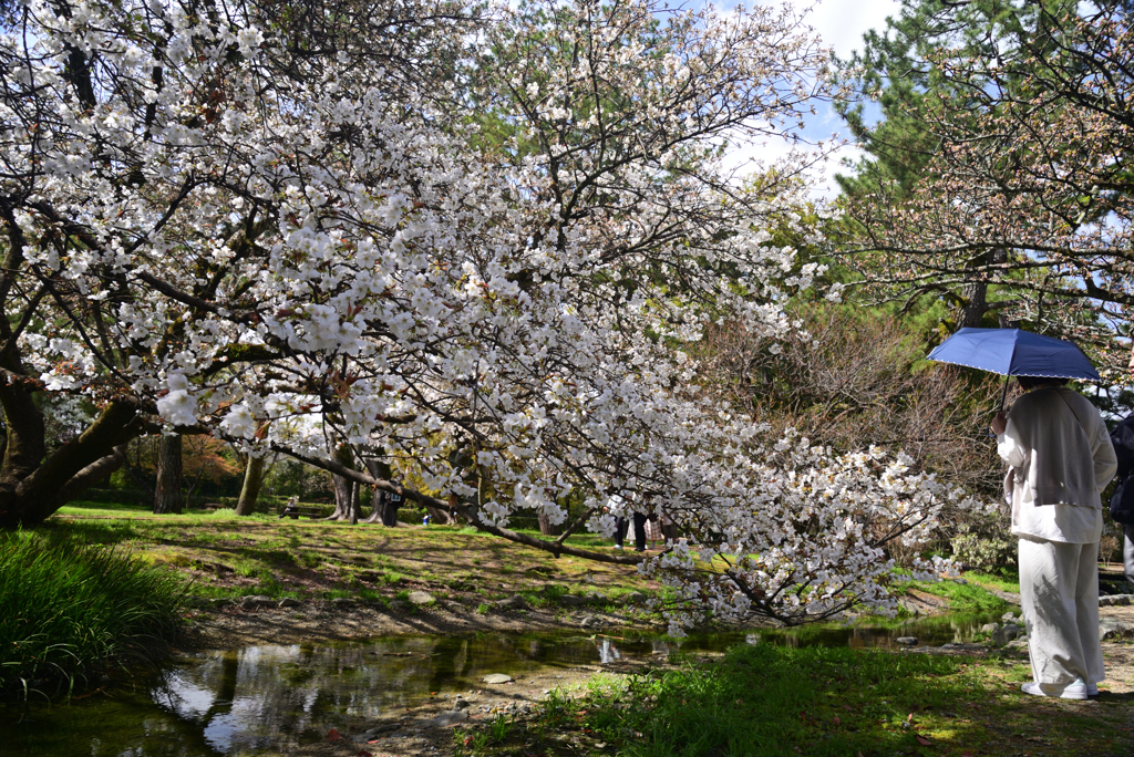 230327a京都御苑11