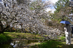 230327a京都御苑11