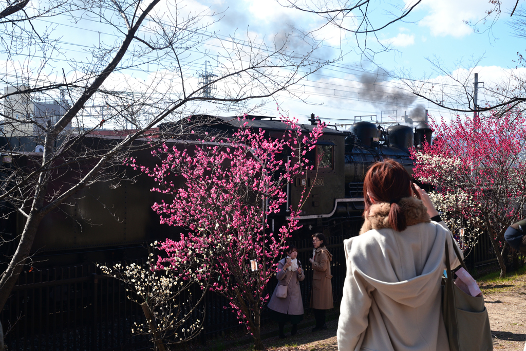 240212c梅小路公園13