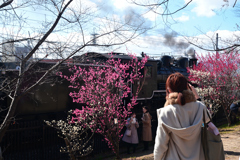 240212c梅小路公園13