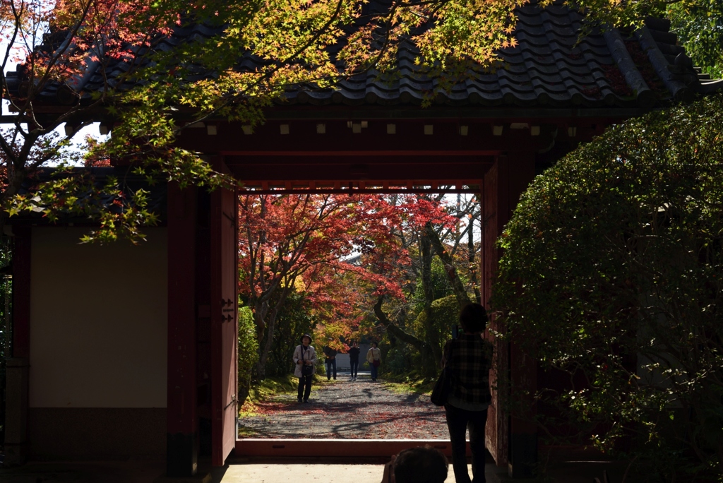 181111a常照寺05